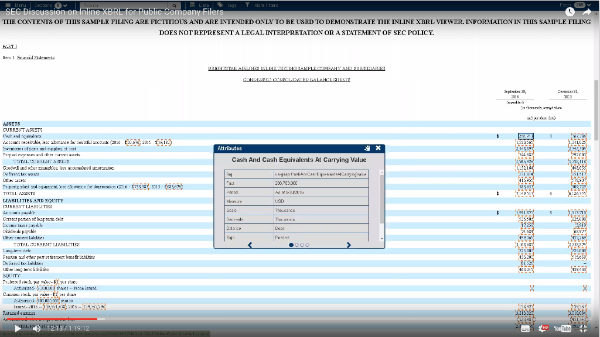 Inline XBRL Viewer