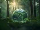 Digital sustainability reporting as a business accelerator. 
