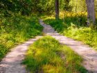 IPSASB charts two-part path for public sector climate clarity. 