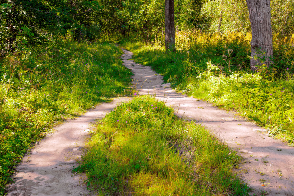 IPSASB charts two-part path for public sector climate clarity.