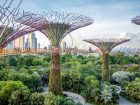 Singapore eases climate reporting timelines