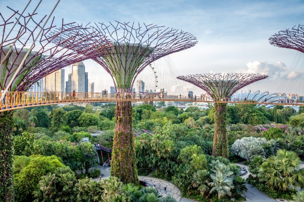 Singapore eases climate reporting timelines