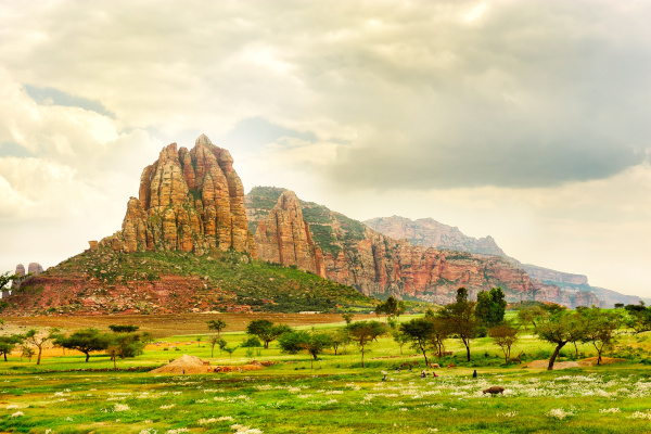 Ethiopia consults on roadmap for adopting ISSB sustainability standards