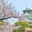 Japan mandates ISSB-aligned sustainability reporting for major listed companies.