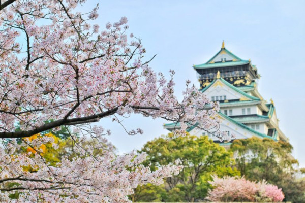 Japan mandates ISSB-aligned sustainability reporting for major listed companies.